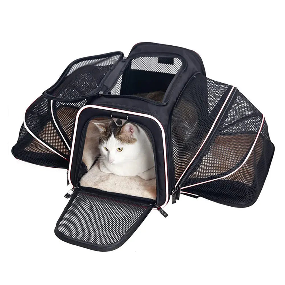 Pet Travel Carrier