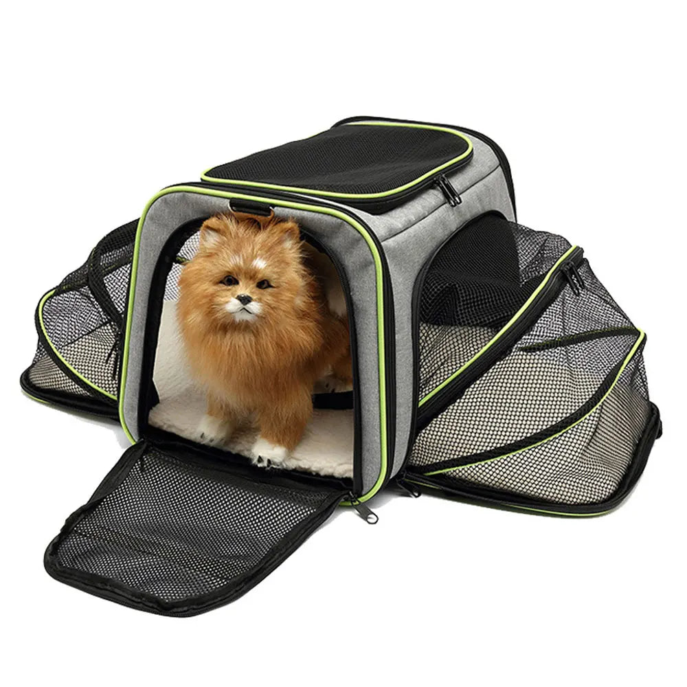 Pet Travel Carrier