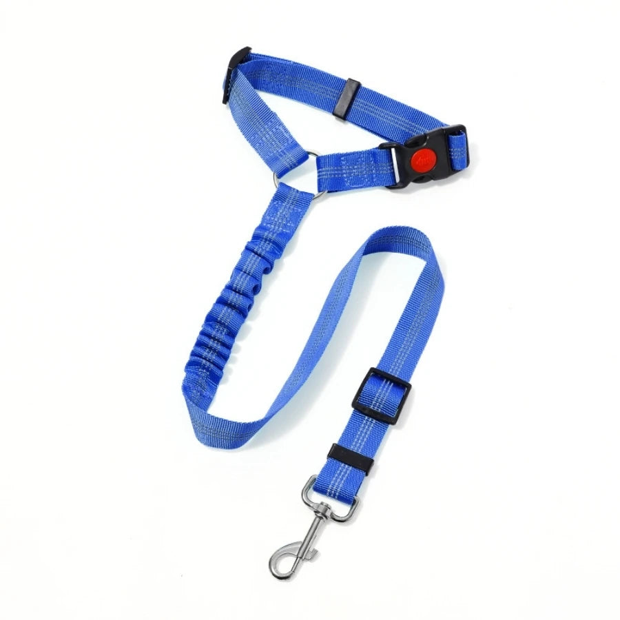 SafeDrive Dog Leash