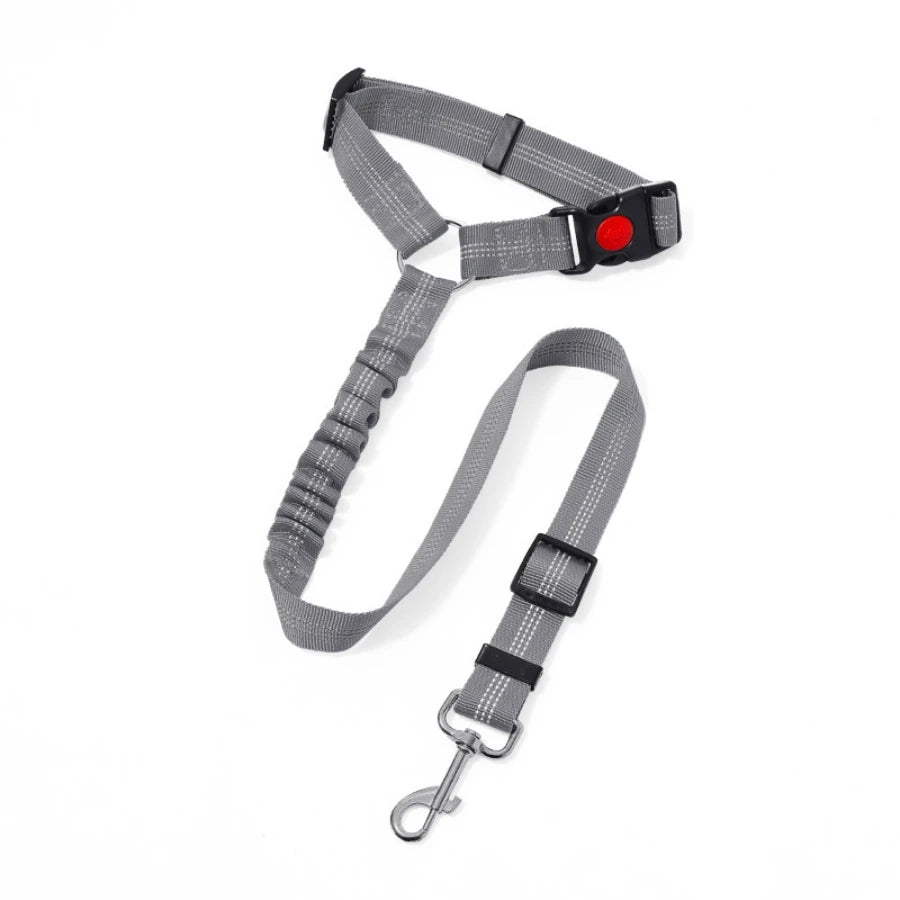 SafeDrive Dog Leash