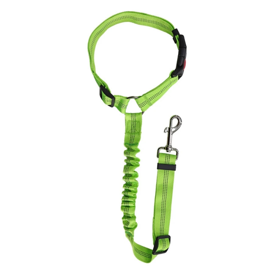 SafeDrive Dog Leash