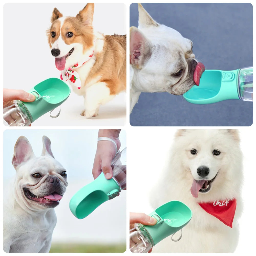 On-the-Go Pet Hydrator