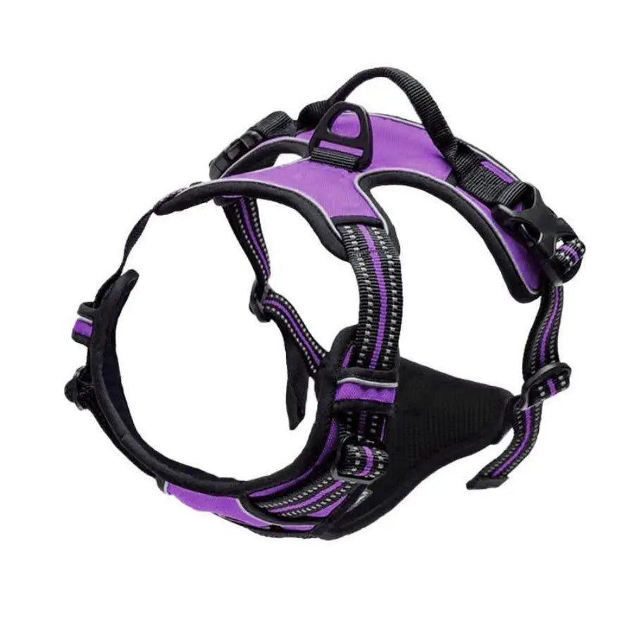 Pawsome Front Clip Harness