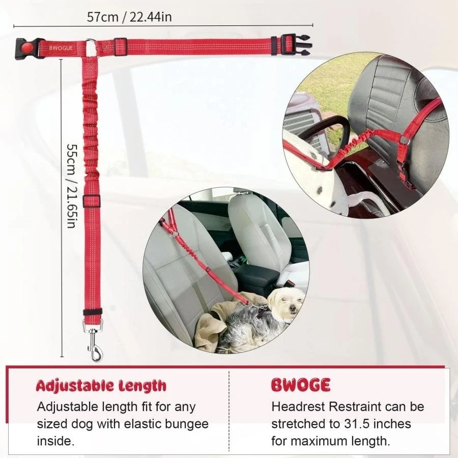 SafeDrive Dog Leash