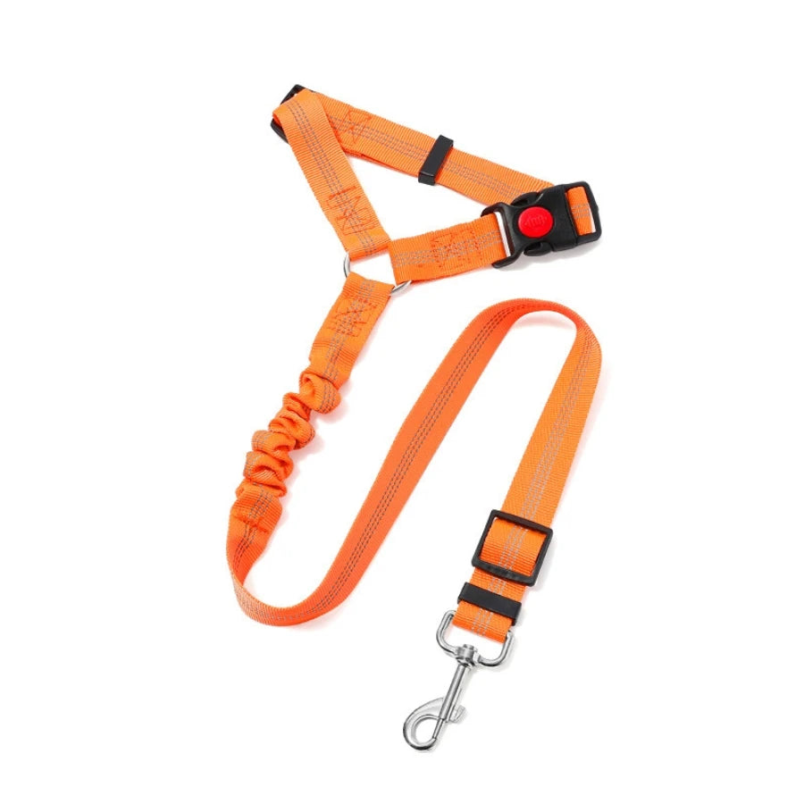 SafeDrive Dog Leash