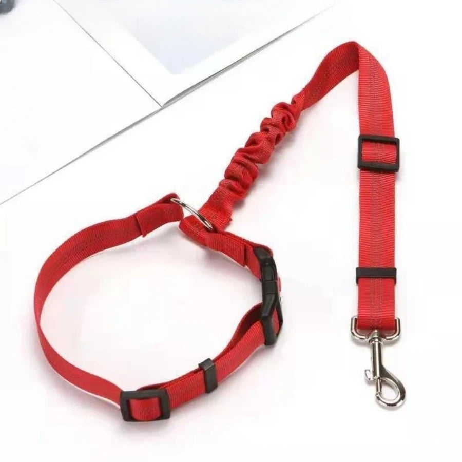 SafeDrive Dog Leash