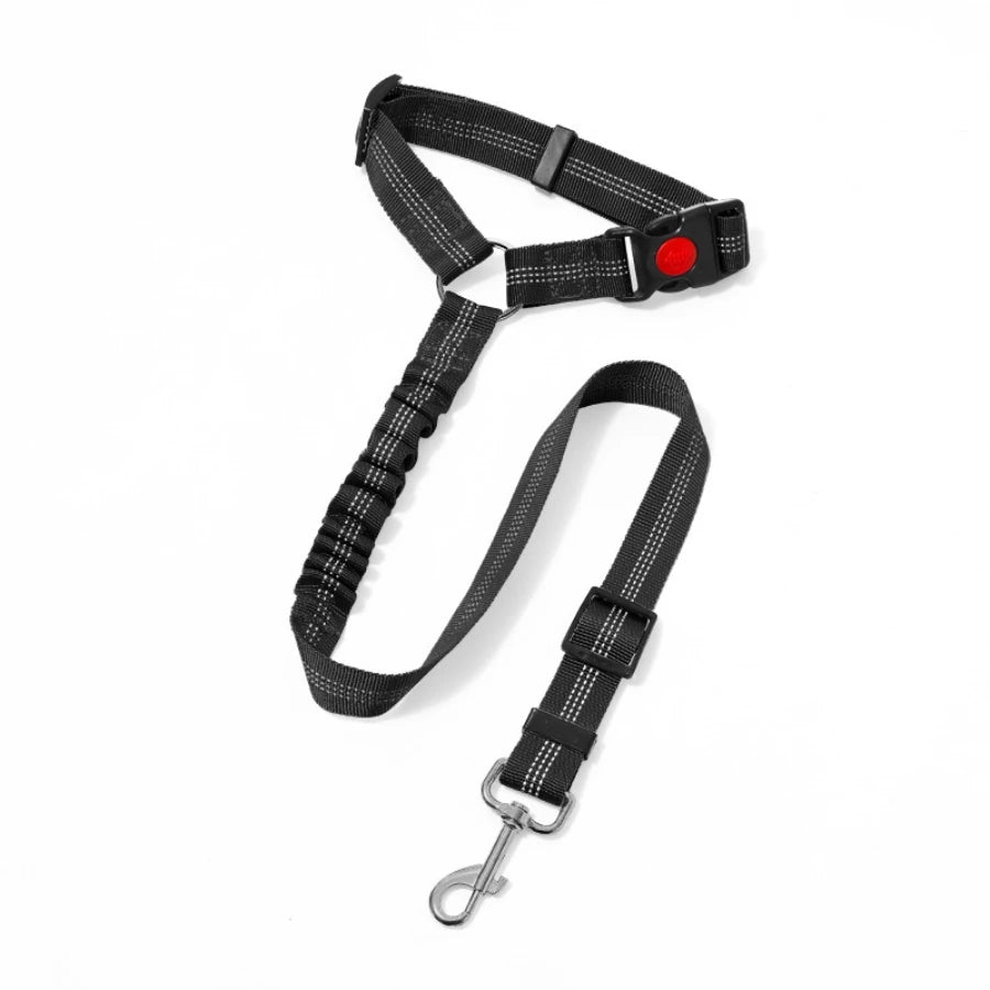 SafeDrive Dog Leash