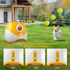 FourPaws Automatic Ball Launcher