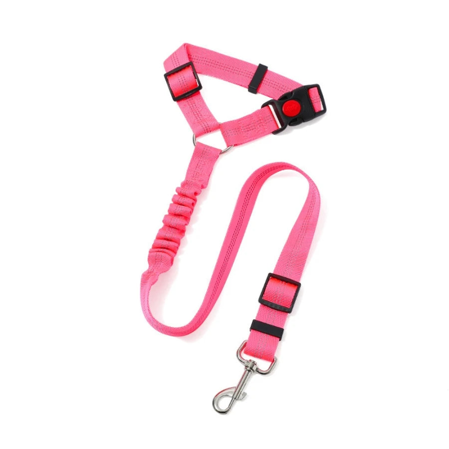 SafeDrive Dog Leash