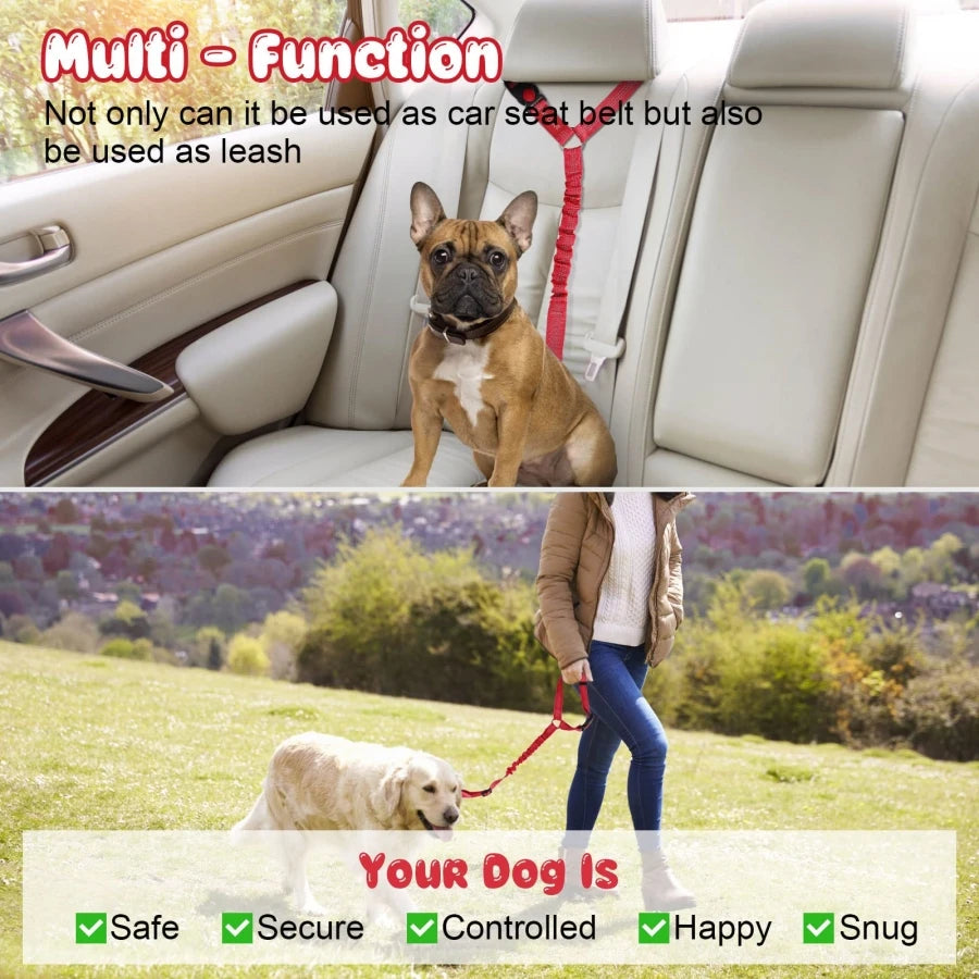 SafeDrive Dog Leash