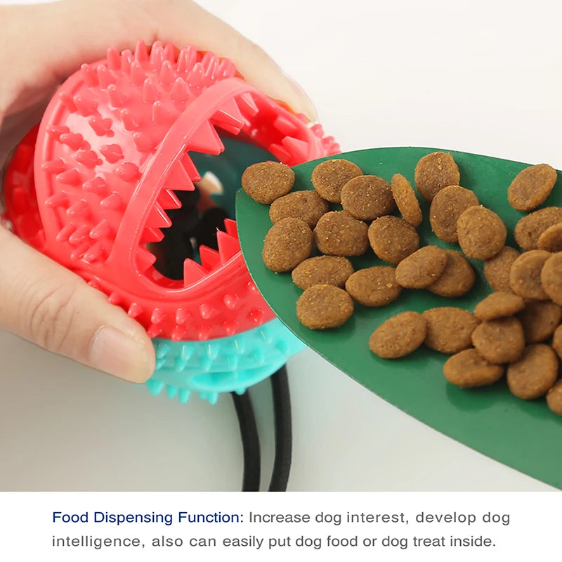 Squeaky Fun Suction Ball – Interactive Dog Toy