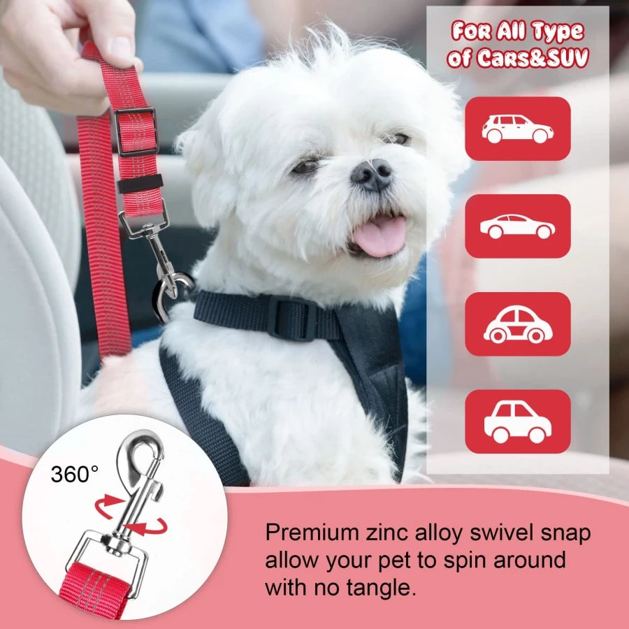 SafeDrive Dog Leash