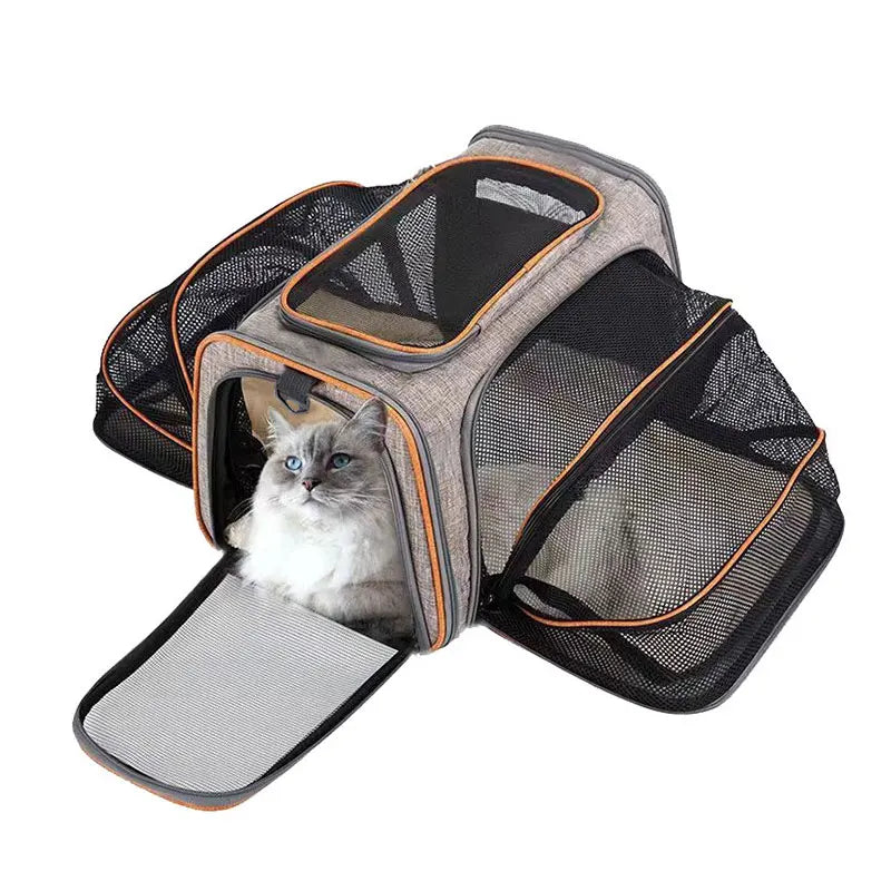 Pet Travel Carrier