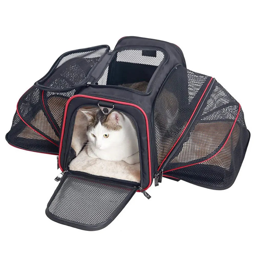 Pet Travel Carrier